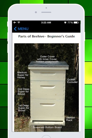 Best Way To Start Bee Keeping Guide - Easy Basic Bee Farming Plans & Maintenance Tips For Beginners screenshot 3