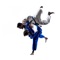 Discover Judo  with this collection of 112 tutorial videos