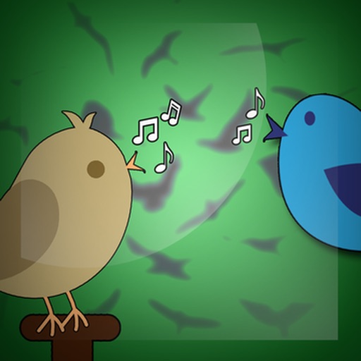 Игра звук птичек. Супер птички. Игра звуки телефон птицы.
