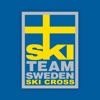 Skicross Challenge