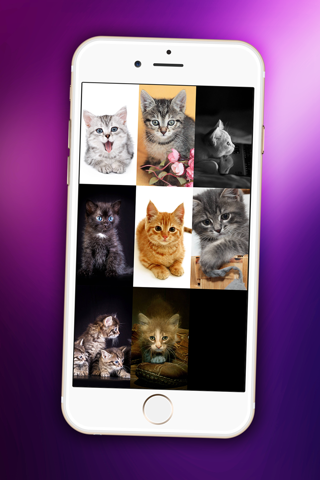 Pretty Kitten Wallpaper – Cute Baby Pet Lock Screen Theme & Adorable Kitty Cat Background.s screenshot 2
