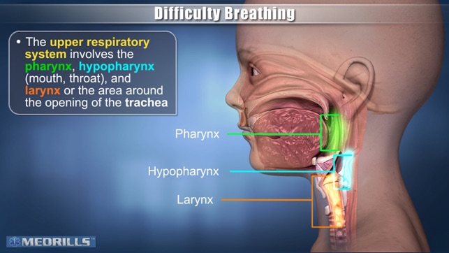 Pediatric Medical Emergencies(圖5)-速報App