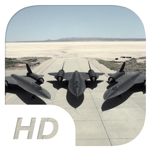 Buzz Valkyries - Flight Simulator iOS App