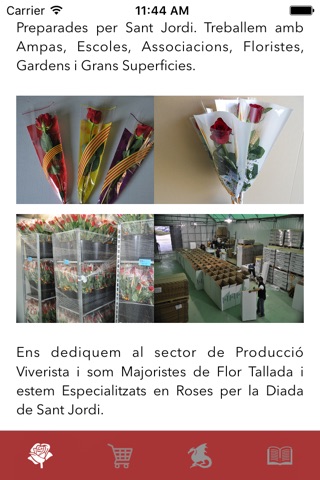 Roses Sant Jordi screenshot 2