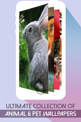 Cute Pet Wallpapers & Unlimited Animal Backgrounds Collection HD - Animal Print Skins screenshot 2
