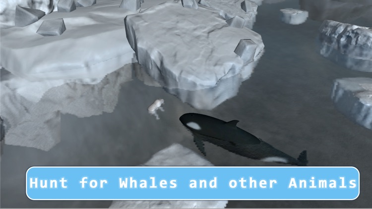 Orca Killer Whale Survival Simulator 3D - Play as orca, big ocean predator!