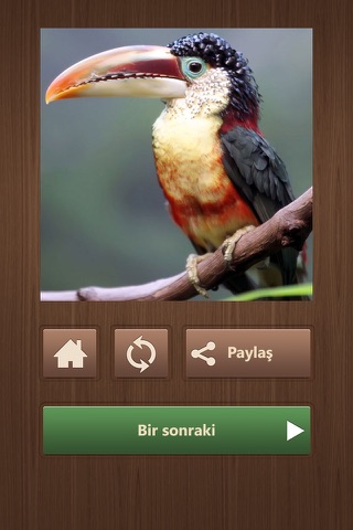 Fun Jigsaw Puzzles screenshot 4