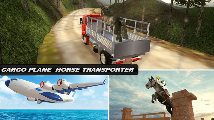 Cargo Plane : Horse Transporter