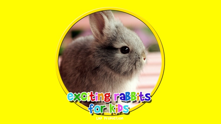 exciting rabbits for kids - free screenshot-0