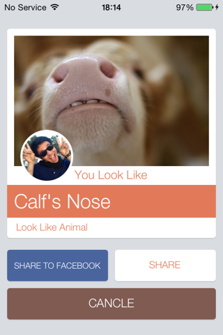 Look Like Animal screenshot 4