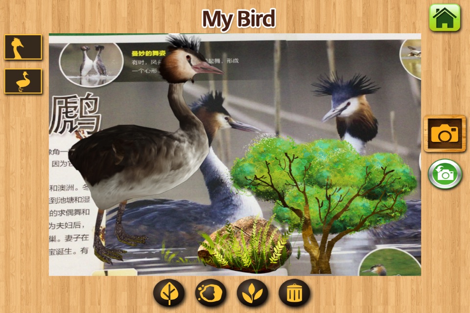 MY BIRD - Augmented Reality screenshot 4