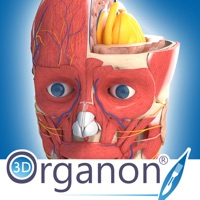 3D Organon Anatomy apk