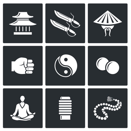 Wing Chun Lessons icon