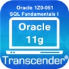 Flash for Oracle 11g SQL