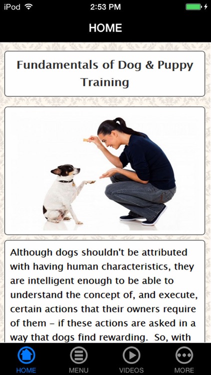 The Untold Secret to Mastering Indoor House Training for Dog in Just 7 Days