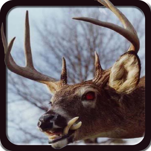 2016 Deer Hunting Simulator - 3D Big Buck Hunter Challenge icon