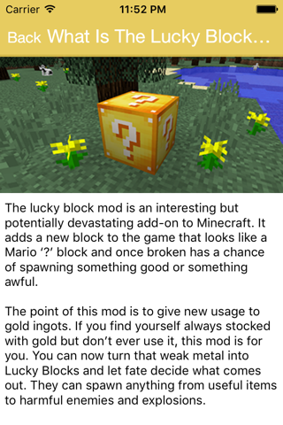 Lucky Block Mod for Minecraft with Multiplayer Servers, Maps, Seeds & Mods screenshot 4