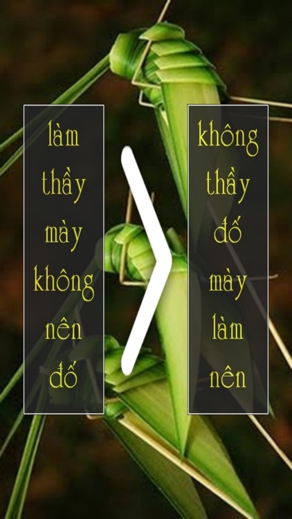 Danh Ngôn Ngược screenshot-3