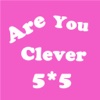 Are You Clever - 5X5 N=2^N