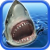 Monster White Shark Hunt