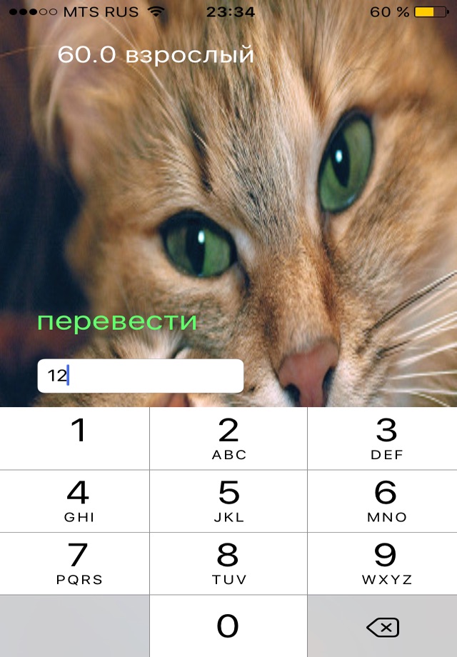 кошачий калькулятор screenshot 3