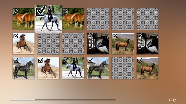 Horse Matching Puzzle(圖1)-速報App