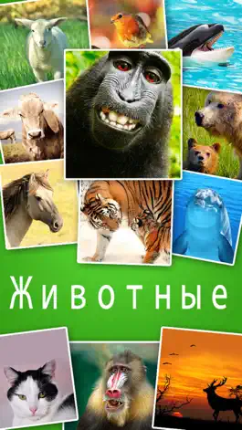 Game screenshot Животные Обои -Animal Wallpapers & Animals Backgrounds mod apk