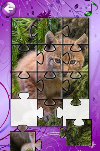 Red Panda Puzzles Jigsaws Games with Wild Animals in the Zoo screenshot 4