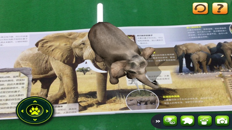 MY ANIMAL - Augmented Reality