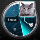 Top 47 Games Apps Like Radar What Makes Cat Joke - Best Alternatives