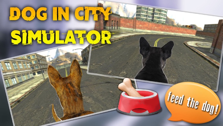 Dog In City Simulator