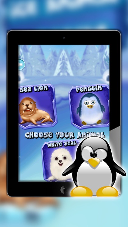 ice animal rescue - Feed The Animals with Pet Salon, Doctor