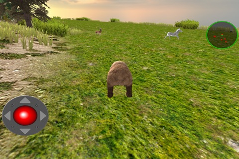 Angry Bear 3D Simulator  - Wild Bears Jungle Attack Survival Game screenshot 4