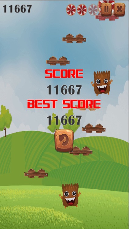 Crazy Chicken Game screenshot-4