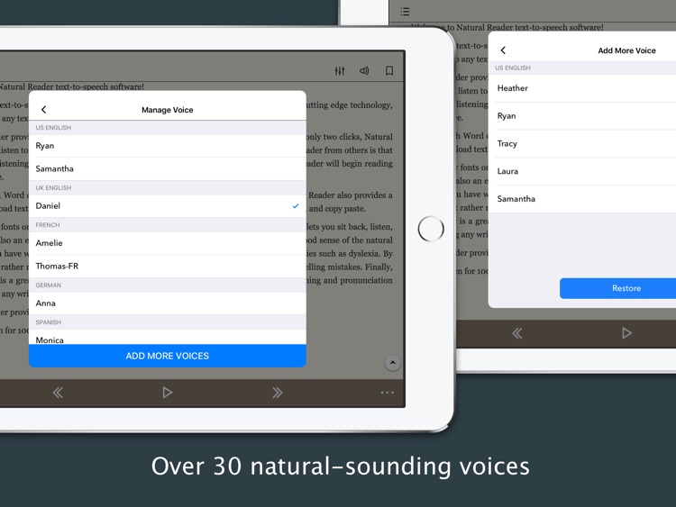 NaturalReader Text to Speech HD Pro screenshot-3