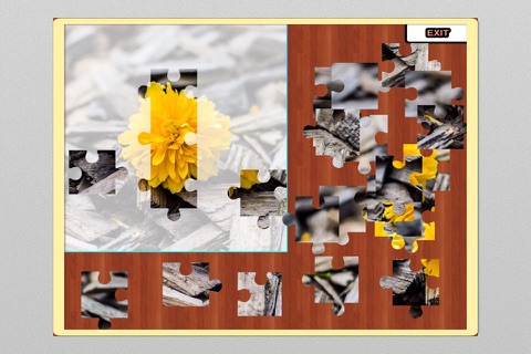 Big Jigsaw Puzzle Level Set screenshot 3