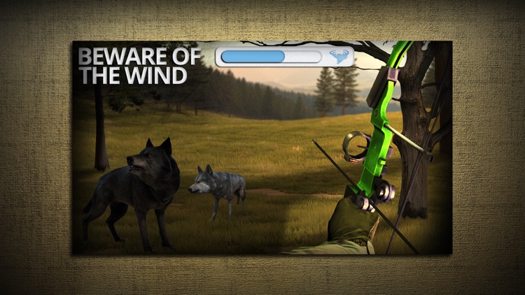Bow Hunting Europe: Wild Animals Hunter & Sport Target Shooting