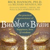 Buddha's Brain: Practical Guide Cards with Key Insights and Daily Inspiration