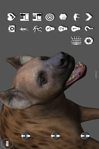 Hyena Pose Tool 3D screenshot 4