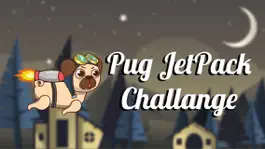 Game screenshot Pug JetPack Challange mod apk