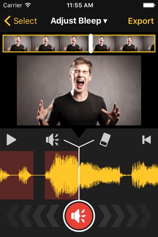 Video Bleep - Bleep out Bad Language and Swearing screenshot 3