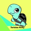 Tortoise Perky