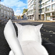Activities of Cat In City Simulator