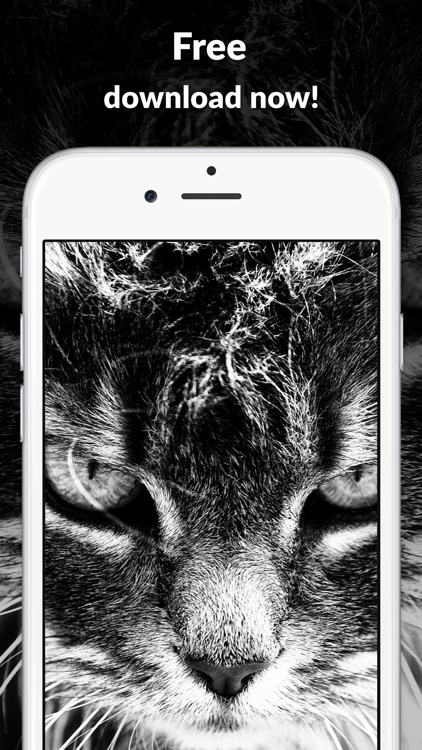 Pictures and wallpapers HD - best free designs for home and lock screens screenshot-3