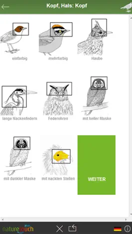 Game screenshot Vögel bestimmen, naturetouch apk