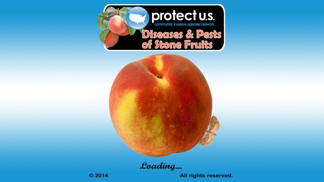 Pests of Stone Fruits(圖1)-速報App