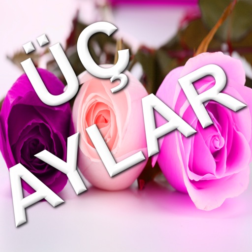 Üç Aylar