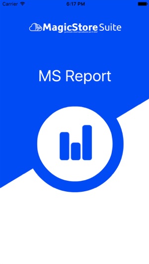 MS Report