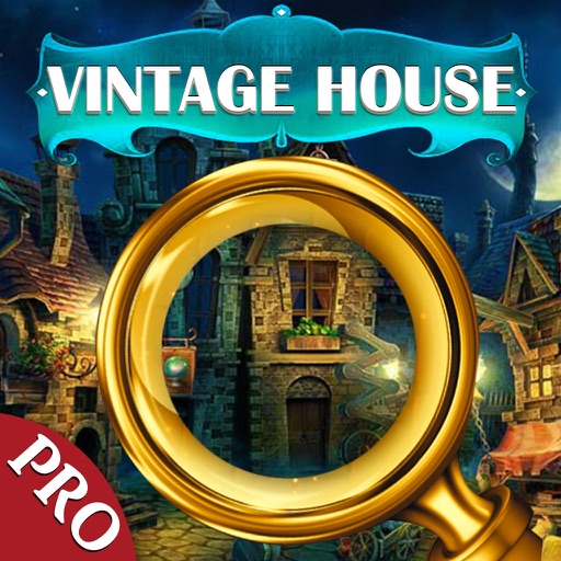 Vintage House Story