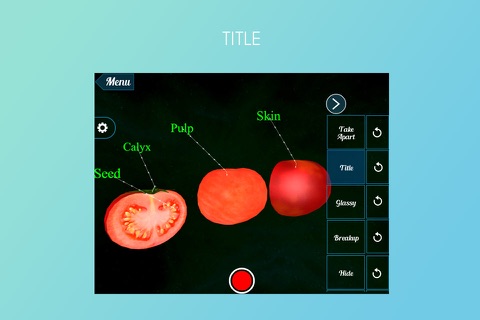 VR Tomato screenshot 2